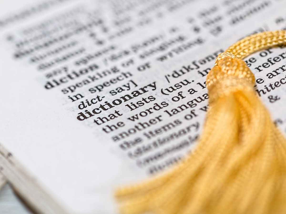 Hodl and more – crypto terms&nbsp;101